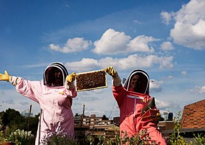 Boob Bees Photo
