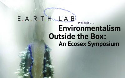 Environmentalism Outside the Box